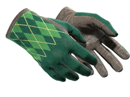 ★ Driver Gloves | Hand Sweaters (Well-Worn)