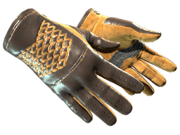 ★ Driver Gloves | Overtake (Factory New)