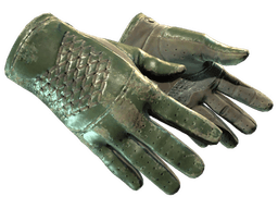 ★ Driver Gloves | Racing Green (Battle-Scarred)