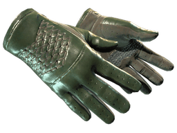★ Driver Gloves | Racing Green (Minimal Wear)