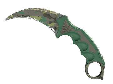 ★ Karambit | Boreal Forest (Well-Worn)
