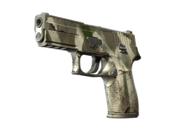 P250 | Bone Mask (Well-Worn)