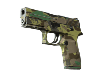 P250 | Boreal Forest (Well-Worn)