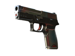 P250 | Cyber Shell (Well-Worn)
