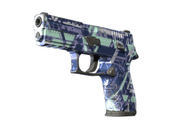 P250 | Digital Architect (Well-Worn)
