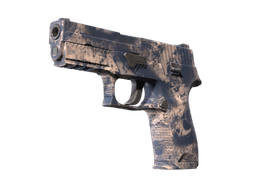 P250 | Drought (Factory New)