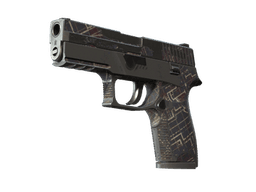 P250 | Facility Draft (Battle-Scarred)