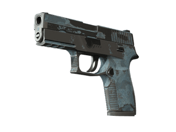 P250 | Forest Night (Battle-Scarred)