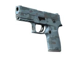 P250 | Forest Night (Minimal Wear)