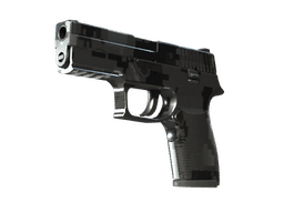 P250 | Metallic DDPAT (Minimal Wear)