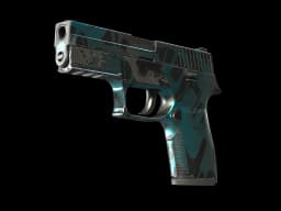 P250 | Ripple (Well-Worn)