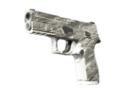 P250 | Sleet (Factory New)