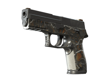 P250 | Small Game (Well-Worn)