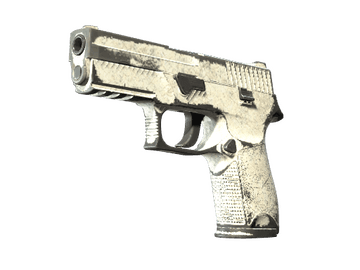 P250 | Whiteout (Battle-Scarred)