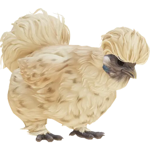 CS2 pet pullet stage