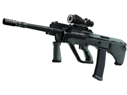 Souvenir AUG | Storm (Well-Worn)