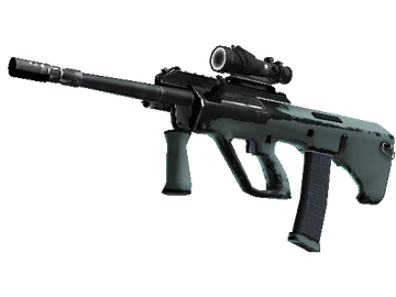 Souvenir AUG | Storm (Well-Worn)