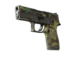 Souvenir P250 | Boreal Forest (Battle-Scarred)