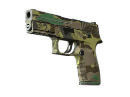 Souvenir P250 | Boreal Forest (Field-Tested)