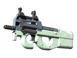 Souvenir P90 | Storm (Well-Worn)