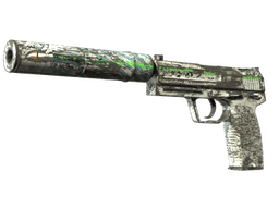 Souvenir USP-S | Road Rash (Battle-Scarred)