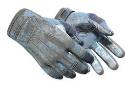 ★ Sport Gloves | Frosty (Battle-Scarred)