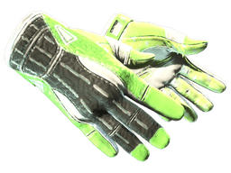 ★ Sport Gloves | Hedge Maze (Minimal Wear)