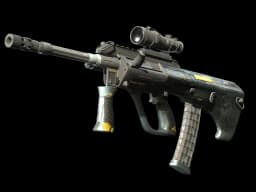 StatTrak™ AUG | Tom Cat (Well-Worn)