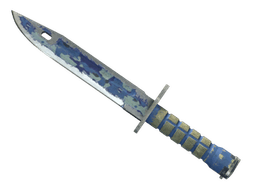 ★ StatTrak™ Bayonet | Bright Water (Battle-Scarred)