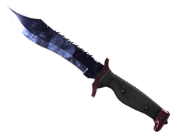 ★ StatTrak™ Bowie Knife | Doppler (Factory New)