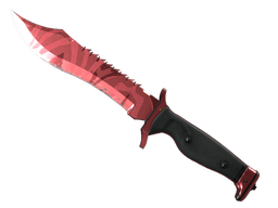 ★ StatTrak™ Bowie Knife | Slaughter (Field-Tested)