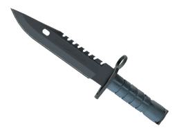 ★ StatTrak™ M9 Bayonet | Night (Minimal Wear)