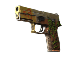 StatTrak™ P250 | Inferno (Well-Worn)