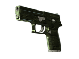 StatTrak™ P250 | Iron Clad (Factory New)