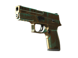 StatTrak™ P250 | Verdigris (Field-Tested)