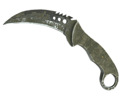 ★ StatTrak™ Talon Knife | Safari Mesh (Battle-Scarred)