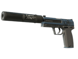 StatTrak™ USP-S | Guardian (Factory New)