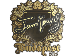 Sticker | JamYoung (Gold) | Budapest 2025