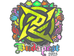 Sticker | Ninjas in Pyjamas (Holo) | Budapest 2025