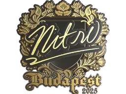 Sticker | nitr0 (Gold) | Budapest 2025