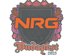 Sticker | NRG | Budapest 2025