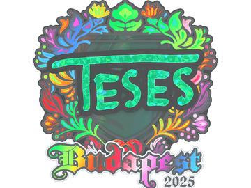 Sticker | TeSeS (Holo) | Budapest 2025