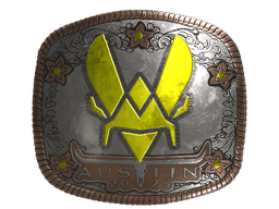 Sticker | Vitality (Foil) | Austin 2025